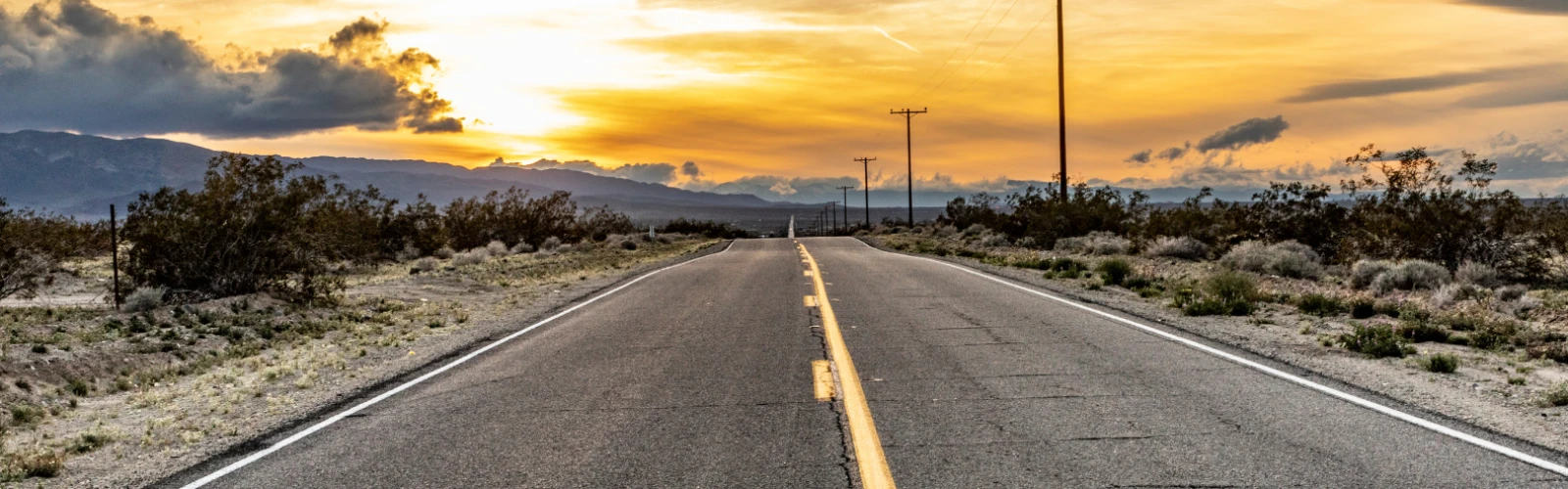 Top Things to Do at Night in Twentynine Palms, California