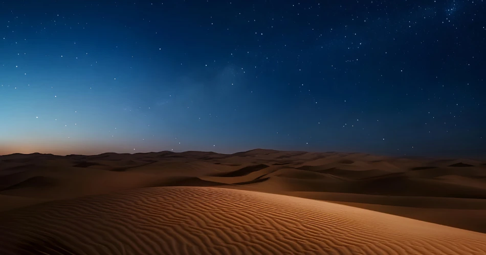 Top Things to Do at Night in Twentynine Palms, California