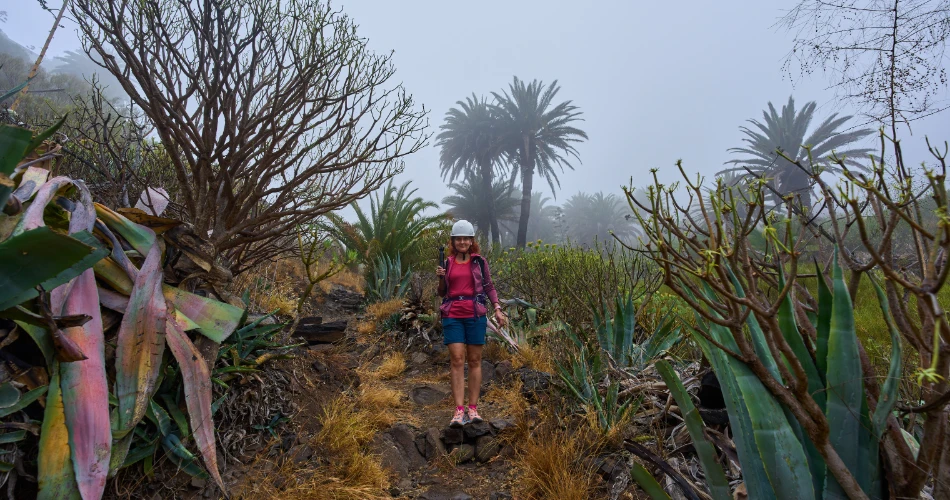 Top Hiking, Camping & Adventure Activities in Twentynine Palms