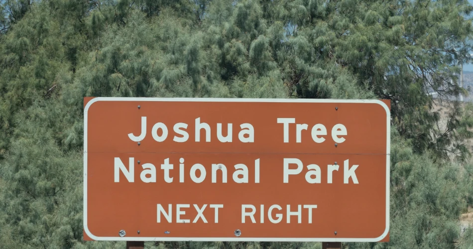 Best Places to Visit in Twentynine Palms for First-Time Travelers